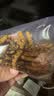 同芙冬虫夏草3根/g50g 约150根礼盒 营养滋补品送长辈中秋节日礼品物 实拍图