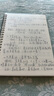 【160页巨能写】笔记本本子pp封面线圈本 学生用日记本大学生考研练习本螺旋本加厚记事本文具用品 A5横线-2本装（160张） 实拍图