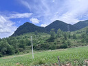 维达（Vinda）杀菌湿巾272片(80片*3包+8片*4包) 组合装 不含酒精 杀菌率99.9%  实拍图
