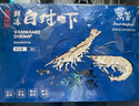 万景北海鲜冻白虾国产白虾 单冻无冰净重4斤 100-120只 烧烤聚餐 海鲜 实拍图