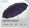 天堂 全自动雨伞三折 10骨加固一键开收易甩干简约晴雨伞 紫兰 实拍图