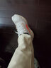 耐克NIKE男跑步鞋 飞马41 PEGASUS 41运动鞋HF4300-100白/橙43 实拍图