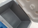 Ice trip母乳保温箱冷藏医用 车载户外食品保鲜箱露营箱房车用品6L 实拍图