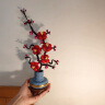 乐高（LEGO）积木拼装10369 傲骨梅永生花男孩女孩玩具生日礼物 实拍图