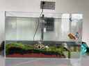 YEE鱼缸金晶超白金鱼裸缸8060家用客厅桌面小草缸龟缸玻璃生态溪流缸 50*27*30【8w过滤器套餐】 实拍图