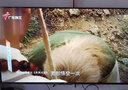 TCL电视 55V8L Pro 55英寸 144Hz高刷 QLED量子点 3GB+64GB大内存 4K DeepSeek AI电视 国家补贴20% 实拍图