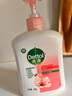 滴露（Dettol）洗手液抑菌滋润450g*2+松木450g*2儿童家庭补充装消毒温和护手 实拍图