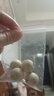 香樟木球樟脑丸卫生球衣柜防霉防虫防潮天然芳香 香樟木球10颗 袋装 实拍图