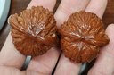 中粮悠采无糖山药薏米420g+五黑杂粮饼干420g桑葚黑芝麻黑豆黑米 实拍图