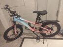 凤凰山地自行车男女变速山地车碟刹青少年儿童自行车学生单车 星际 蓝粉【变速+三刀轮】 20寸【适合125-160cm】 实拍图