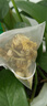 参庆堂国药药材三花茶 金银花菊花茉莉花茶50g 独立茶包 搭去火清热解毒 实拍图