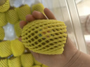 佳沛（zespri）新西兰  阳光金奇异果25-27粒原箱特大果单果约122-146g  猕猴桃 实拍图