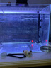 SOBO鱼缸过滤器过滤桶前外置过滤设备水族箱过滤系统水草缸外置过滤桶 SF-850F +【 专业豪华套餐 】 实拍图