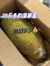 京鲜生 海南老树菠萝蜜 15-20斤装 净重15斤+ 生鲜水果 源头直发 实拍图