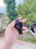 HKMW2026新款WATCH GT5 Pro同款手表智能手表gt4长续航蓝牙通话可接打电话成人心率 顶配版-黑色三株钢免提高清通话+超长待机+离线支付 实拍图