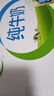 伊利纯牛奶整箱250ml*16盒 全脂牛奶 礼盒装 实拍图