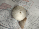 楼茂记嵊州老面小笼包子 鲜肉梅干菜肉包 中华老字号 早餐半成品包子 鲜肉小笼包【10包共60个】1500g 实拍图
