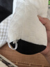 独立内胆夏季清冰凉背枕床头护腰超软可爱靠枕宿舍座椅床头沙发枕 熊猫【带内胆冰豆豆透气外套】 75*50cm 实拍图