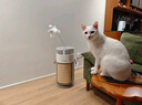 霍尼韦尔（Honeywell）宠物空气净化器吸猫毛除过敏源猫猫搭子 猫毛净化器杀菌消毒除异味【家电国家补贴】KJ360F-C22W 实拍图