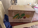 京鲜生东北白糯玉米250g*10棒 新鲜甜糯玉米棒真空包装粘玉米 源头直发 实拍图
