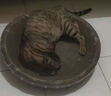 【京东物流】猫抓板磨爪猫窝一体耐磨不掉屑超大号猫玩具猫咪用品 圆形超大号+猫薄荷 实拍图