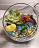 iosn微景观生态瓶多肉植物diy材料玻璃盆栽手工绿植盆栽苔藓创意装饰 10cm斜口瓶多肉龙猫 晒单实拍图