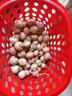 志褚独头蒜大蒜头 2024云南大理紫皮独蒜 精品新鲜现挖湿蒜 1斤装【珍珠小蒜2.2cm以下】 实拍图
