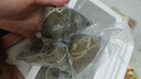 得力家用腊肉抽真空封口机小型真空包装机食品全自动真空机干湿两用商用真空保鲜打包机小巧便携 LM120 实拍图