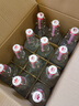 永丰牌北京二锅头金奖小方瓶清香型白酒出口小方瓶红标42度500ml*12瓶 实拍图