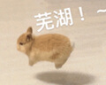 Viken【华强北18代Pro9顶配版】蓝牙耳机适配苹果无线金榜第1名Air4主动降噪iphone16/15/14五代入耳式 【2025新款|原版全功能】滑动调节音量 空间音頻+三真电量+入耳检测 实拍图