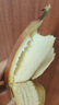 采缇 【现摘现发】土楼美人蕉5斤香蕉水果新鲜红皮香蕉批发红 2500g 实拍图