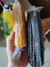东北农嫂糯玉米甜糯香粘真空装黏玉米棒粒吉林产低脂主食可选有机 【更甜】白甜糯 2.35kg*1箱 约10穗 实拍图
