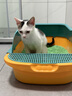 汪野君猫砂盆半封闭顶入猫厕防外溅幼猫成猫猫屎盆猫沙盆带猫砂铲大号 实拍图