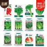 北蔬 蔬菜种子苗生菜菠菜小香葱芹菜阳台四季菜种籽 12种蔬菜种子套餐 实拍图