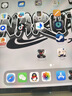 图拉斯【全新升级丨销额第一】2025iPadPro新款Mini7钢化膜 Air7第11代/10/6平板保护AR高清抗蓝光抗指纹 【2024年iPad Pro】13英寸 【顶配升级版】 实拍图
