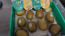 佳沛（zespri）新西兰  阳光金奇异果10粒礼盒巨大果单果约144-175g 水果 猕猴桃 实拍图
