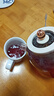 生活元素（LIFE ELEMENT）养生壶 花茶煮茶器 办公室高硼硅全玻璃壶体  电热烧水壶 迷你智能预约定时 母婴调奶恒温壶D83 实拍图