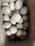 现挖当季土豆马铃薯农家自种新大洋芋生鲜蔬菜农产品黄皮黄心应季 带箱9斤大果《强力推荐》 实拍图