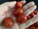 京鲜生＆陇小番 釜山88脆甜玲珑小番茄 净重4斤(500g*4盒)源头直发 实拍图