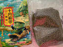 十月稻田 绿豆 2斤 (可发豆芽 打豆浆 东北 五谷 杂粮 粗粮 真空大米伴侣) 实拍图