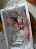 【顺丰】现杀土猪蹄10只带筋整只新鲜农家小香猪散养猪手猪脚前后 带筋土猪蹄10只【冷链速发】 实拍图