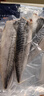 禧美海产 冷冻挪威青花鱼片净重2斤 独立包装3-4袋 去脏日料烤鱼 海鲜 实拍图