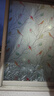 晴画 磨砂玻璃防窥膜卫生间窗户贴膜透光不透影贴纸 彩色小鸟90*200cm 实拍图