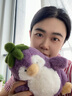 伊美娃娃茄鹅企鹅玩偶公仔大白鹅茄子毛绒玩具娃娃抱枕送女孩女生生日礼物 实拍图
