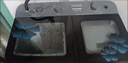 扬子双桶洗衣机半自动大容量家用双缸洗衣机脱水双筒【新疆可达】补贴 【9公斤-单人款】-玻璃面板【非隐藏旋钮】 实拍图