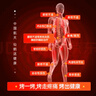 仙鹤神灯院线同款红外线理疗灯医用烤灯治疗仪电磁波理疗仪父亲节礼物 实拍图