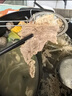 潮味码头 手打潮汕牛筋丸250g 手打牛肉丸子空气炸锅火锅烧烤食材关东煮 实拍图
