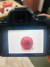 佳能（Canon）EOS 200D2 II 二代 单反相机 4K Vlog视频 家用便携高清美颜照相机 18-55mm标准变焦 旅行畅玩套装 实拍图
