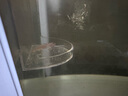 森森 超白玻璃小型热弯水草鱼缸HRK-600套缸+过滤器+水草灯 实拍图