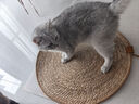 憨憨乐园猫抓板防剑麻草绳猫爪板猫抓垫不掉屑磨爪猫爪垫地毯睡垫用品 实拍图